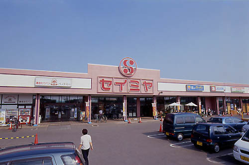 成田芝山店