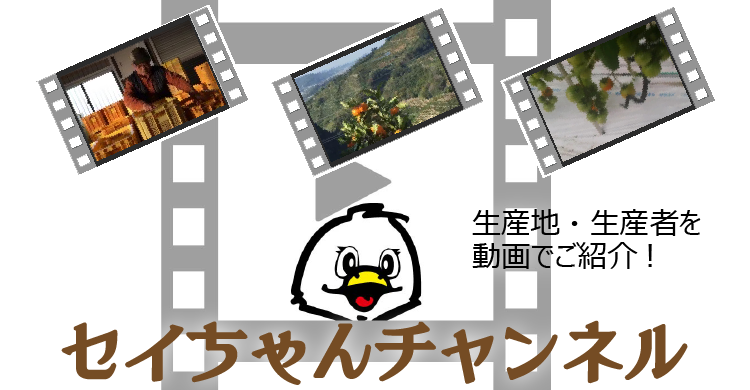 sssページ 1【こちらをご購入ください】 終了】夏休み短期教室2025 SSS岩国 | お知らせ | スリーエススポーツプラザ